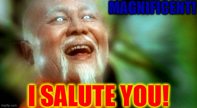 Master Po 2 | MAGNIFICENT! I SALUTE YOU! | image tagged in master po 2 | made w/ Imgflip meme maker