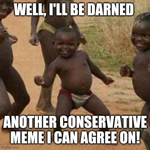 Third World Success Kid Meme | WELL, I'LL BE DARNED ANOTHER CONSERVATIVE MEME I CAN AGREE ON! | image tagged in memes,third world success kid | made w/ Imgflip meme maker