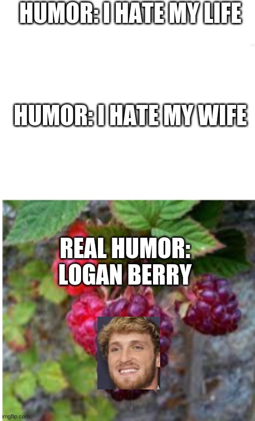 wat hath i made | HUMOR: I HATE MY LIFE; HUMOR: I HATE MY WIFE; REAL HUMOR: LOGAN BERRY | made w/ Imgflip meme maker