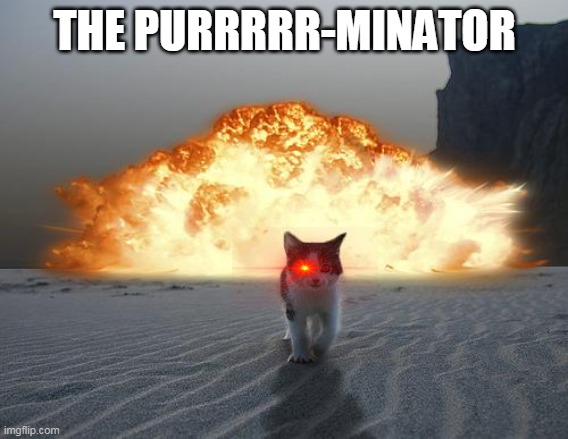 cat explosion | THE PURRRRR-MINATOR | image tagged in cat explosion | made w/ Imgflip meme maker