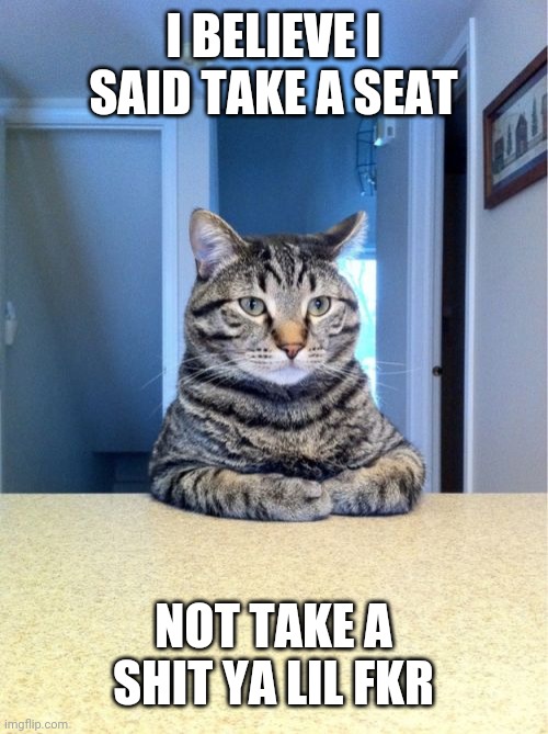 Take A Seat Cat Meme | I BELIEVE I SAID TAKE A SEAT; NOT TAKE A SHIT YA LIL FKR | image tagged in memes,take a seat cat | made w/ Imgflip meme maker
