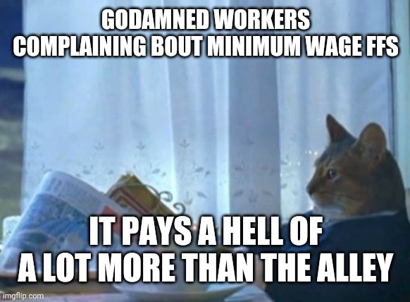I Should Buy A Boat Cat Meme | GODAMNED WORKERS COMPLAINING BOUT MINIMUM WAGE FFS; IT PAYS A HELL OF A LOT MORE THAN THE ALLEY | image tagged in memes,i should buy a boat cat | made w/ Imgflip meme maker