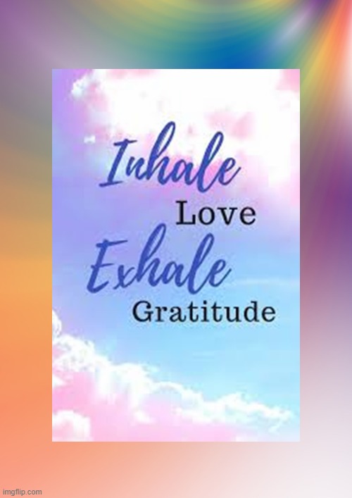 I inhale love and exhale gratitude | image tagged in namaste | made w/ Imgflip meme maker