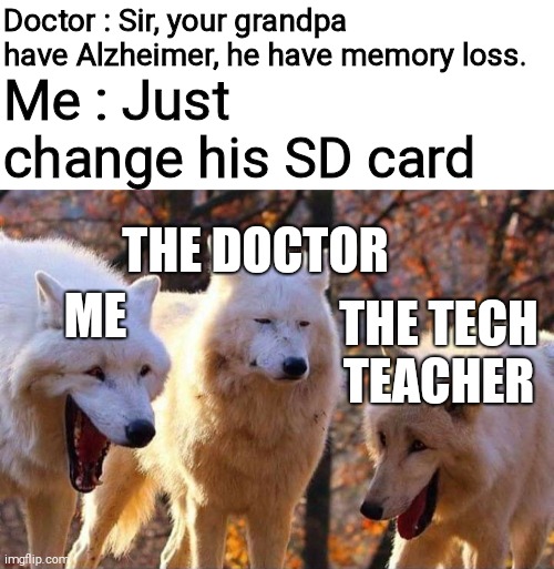 SD cards | Doctor : Sir, your grandpa have Alzheimer, he have memory loss. Me : Just change his SD card; THE DOCTOR; ME; THE TECH TEACHER | image tagged in laughing wolf | made w/ Imgflip meme maker
