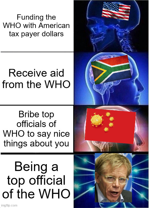 higherarchy of WHO funding | Funding the WHO with American tax payer dollars; Receive aid from the WHO; Bribe top officials of WHO to say nice things about you; Being a top official of the WHO | image tagged in expanding brain,politics,made in china,kung flu,wuhan,government corruption | made w/ Imgflip meme maker