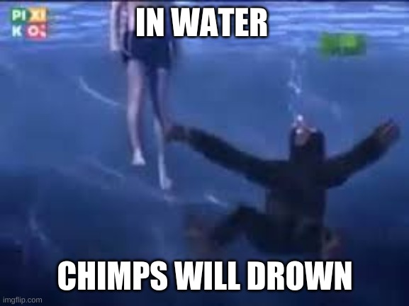 uh yeah | IN WATER; CHIMPS WILL DROWN | image tagged in umm yes,but why why would you do that,ah yes | made w/ Imgflip meme maker