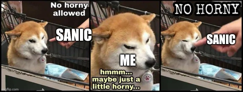 Just a little horny | SANIC; SANIC; ME | image tagged in just a little horny | made w/ Imgflip meme maker