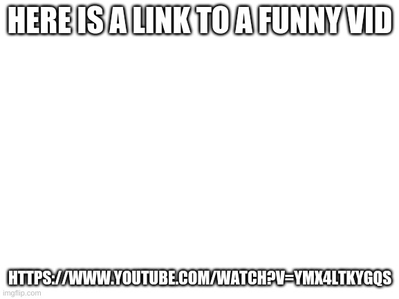 TwT | HERE IS A LINK TO A FUNNY VID; HTTPS://WWW.YOUTUBE.COM/WATCH?V=YMX4LTKYGQS | image tagged in blank white template | made w/ Imgflip meme maker