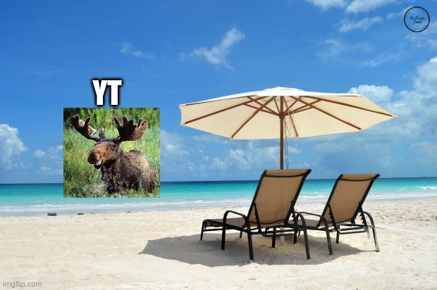 Thanks To The Ritual, We Now Have The Beach Moose Of YT! | YT | image tagged in beach | made w/ Imgflip meme maker