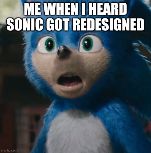 Sonic Movie | ME WHEN I HEARD SONIC GOT REDESIGNED | image tagged in sonic movie | made w/ Imgflip meme maker