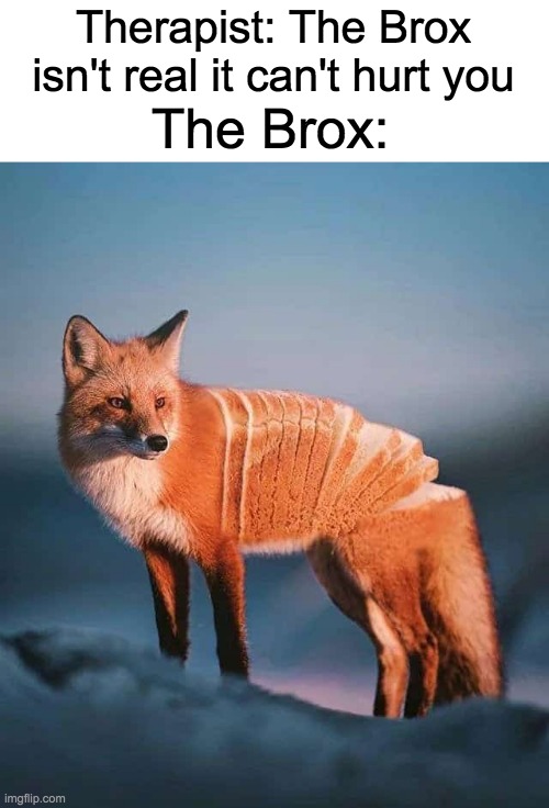 THE BROX | Therapist: The Brox isn't real it can't hurt you; The Brox: | made w/ Imgflip meme maker