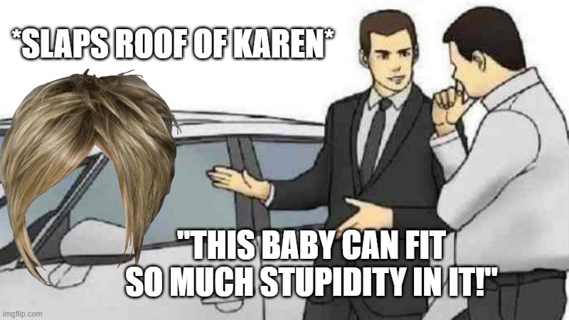 am bored | *SLAPS ROOF OF KAREN*; "THIS BABY CAN FIT SO MUCH STUPIDITY IN IT!" | image tagged in memes,car salesman slaps roof of car,karen | made w/ Imgflip meme maker