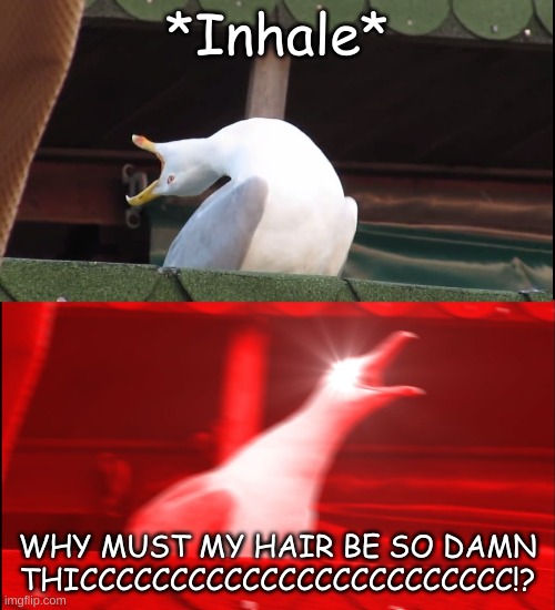 THICCCCCCCCC | *Inhale*; WHY MUST MY HAIR BE SO DAMN THICCCCCCCCCCCCCCCCCCCCCCCC!? | image tagged in screaming bird | made w/ Imgflip meme maker