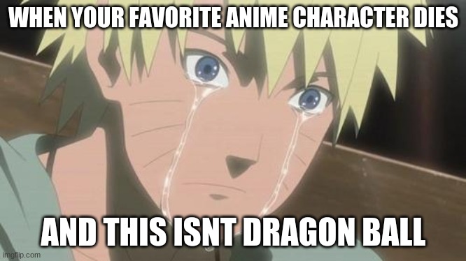 Finishing anime | WHEN YOUR FAVORITE ANIME CHARACTER DIES; AND THIS ISNT DRAGON BALL | image tagged in finishing anime | made w/ Imgflip meme maker