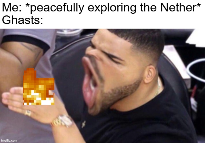 Drake Yelling | Me: *peacefully exploring the Nether*
Ghasts: | image tagged in drake yelling | made w/ Imgflip meme maker