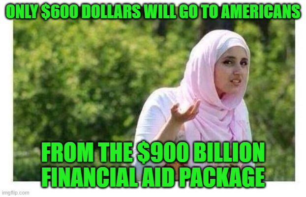 Only $600 Dollars Will Go To Americans From The $900 Billion Financial Aid Package | ONLY $600 DOLLARS WILL GO TO AMERICANS; FROM THE $900 BILLION FINANCIAL AID PACKAGE | image tagged in confused muslim girl | made w/ Imgflip meme maker