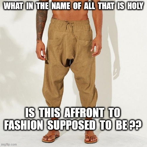 Change your pants! | WHAT  IN  THE  NAME  OF  ALL  THAT  IS  HOLY; IS  THIS  AFFRONT  TO  FASHION  SUPPOSED  TO  BE ?? | image tagged in pants | made w/ Imgflip meme maker