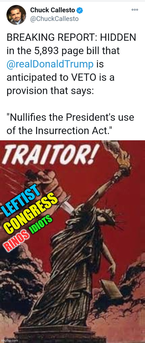 The Traitors Are Afraid Because Justice Is Coming. | LEFTIST; CONGRESS; IDIOTS; RINOS | image tagged in traitor to liberty,justice,trump 2020,election fraud,voter fraud,fraud | made w/ Imgflip meme maker
