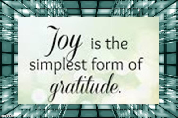 Joy is the simplest form of gratitude | image tagged in namaste | made w/ Imgflip meme maker