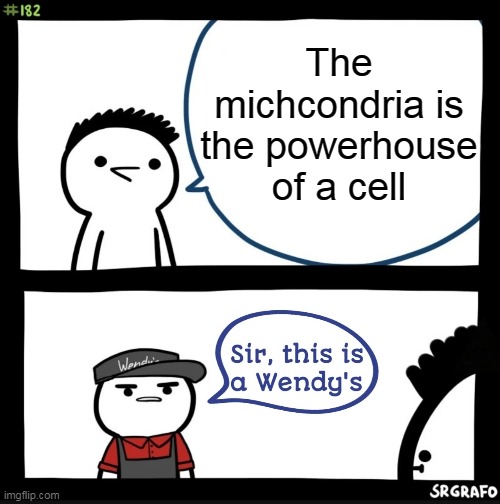Sir this is a wendys |  The michcondria is the powerhouse of a cell | image tagged in sir this is a wendys,memes,funny,funny memes,popular memes,popular | made w/ Imgflip meme maker