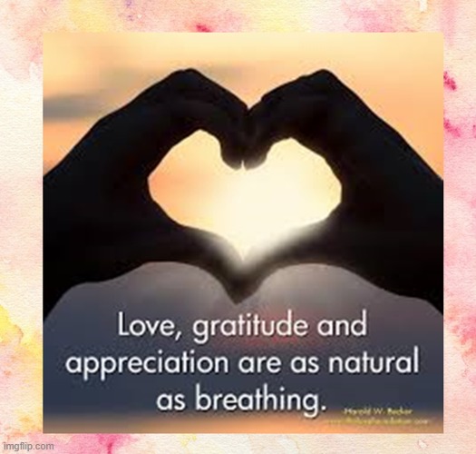 Love and gratitude are as natural as breathing | image tagged in namaste | made w/ Imgflip meme maker