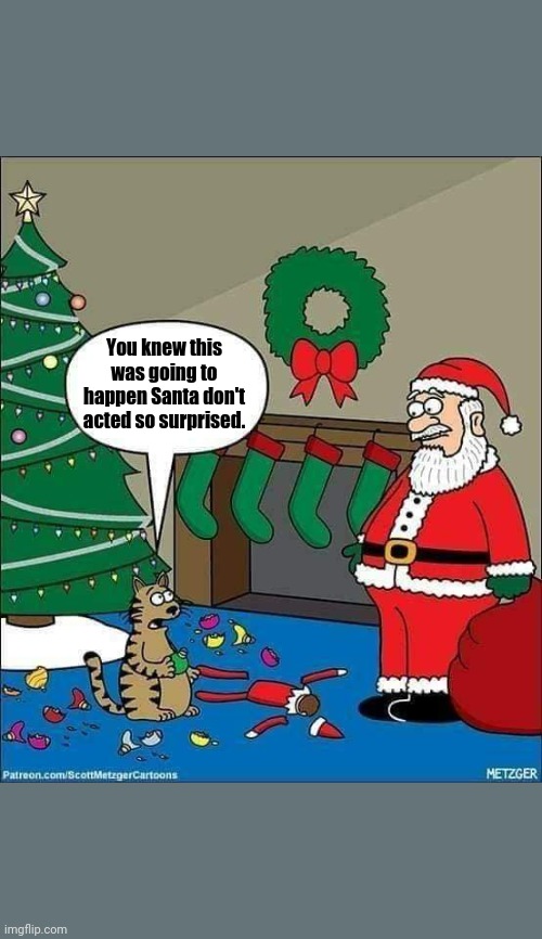 Santa cat | You knew this was going to happen Santa don't acted so surprised. | image tagged in cats,christmas | made w/ Imgflip meme maker