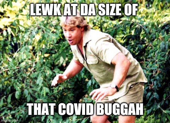 Crocodile Hunter Steve Irwin | LEWK AT DA SIZE OF THAT COVID BUGGAH | image tagged in crocodile hunter steve irwin | made w/ Imgflip meme maker