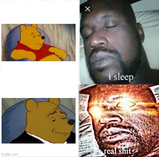 Fancy pooh is real sh- | image tagged in memes,sleeping shaq | made w/ Imgflip meme maker