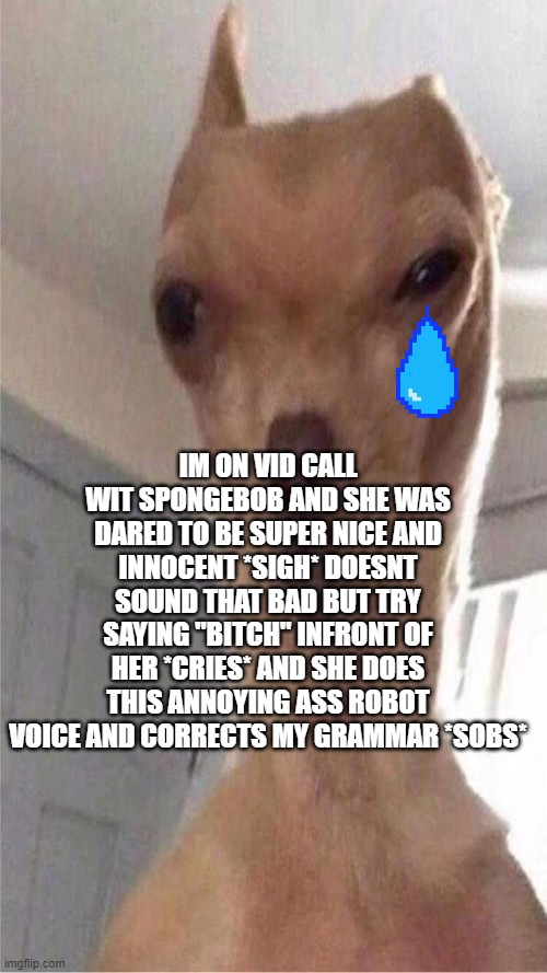 *SCREAM* | IM ON VID CALL WIT SPONGEBOB AND SHE WAS DARED TO BE SUPER NICE AND INNOCENT *SIGH* DOESNT SOUND THAT BAD BUT TRY SAYING "BITCH" INFRONT OF HER *CRIES* AND SHE DOES THIS ANNOYING ASS ROBOT VOICE AND CORRECTS MY GRAMMAR *SOBS* | image tagged in deformed doggo | made w/ Imgflip meme maker
