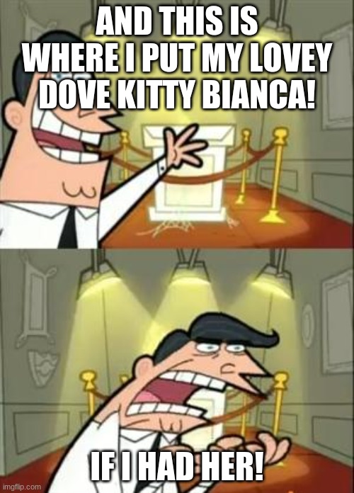 This Is Where I'd Put My Trophy If I Had One | AND THIS IS WHERE I PUT MY LOVEY DOVE KITTY BIANCA! IF I HAD HER! | image tagged in memes,this is where i'd put my trophy if i had one,kitty | made w/ Imgflip meme maker