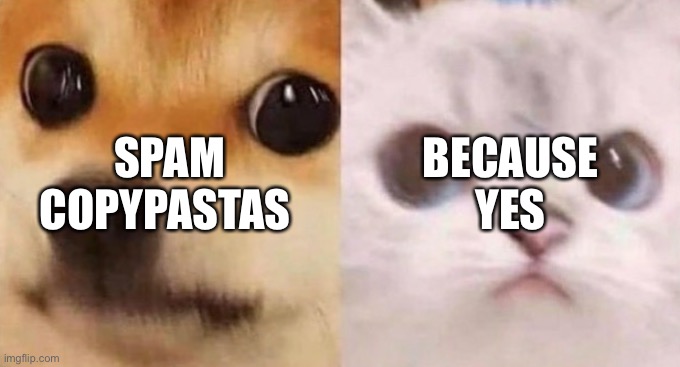 scared cat and scared dog | SPAM COPYPASTAS; BECAUSE YES | image tagged in scared cat and scared dog | made w/ Imgflip meme maker