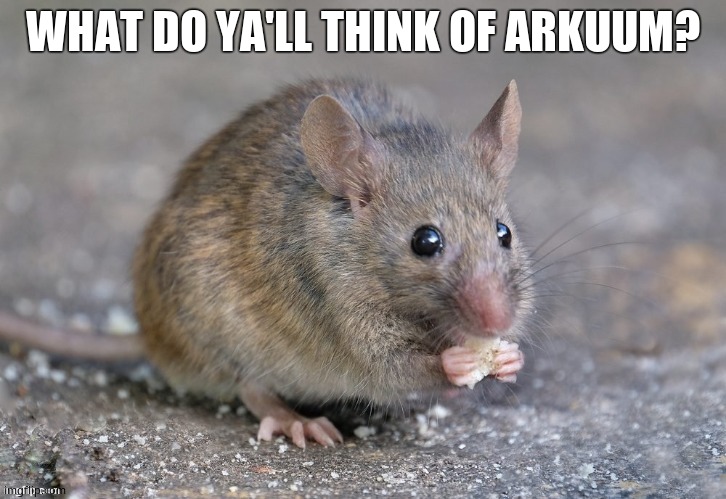 Mouse eating food | WHAT DO YA'LL THINK OF ARKUUM? | image tagged in mouse eating food | made w/ Imgflip meme maker