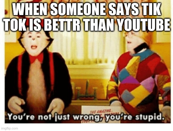 "bUt iT's eAsIeR tO dO" is not a good excuse | WHEN SOMEONE SAYS TIK TOK IS BETTR THAN YOUTUBE | image tagged in you're not just wrong your stupid | made w/ Imgflip meme maker