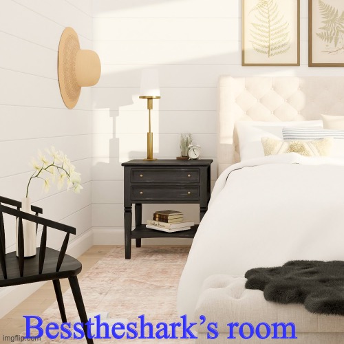 Besstheshark’s warm toned winter room | Besstheshark’s room | image tagged in imgflip hotel | made w/ Imgflip meme maker