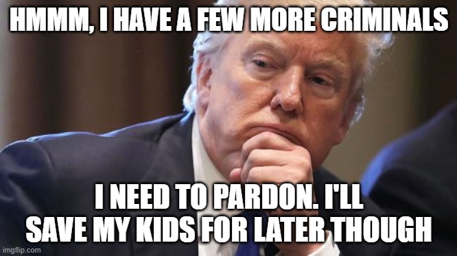 Trump Thinking Alabama Prostitutes | HMMM, I HAVE A FEW MORE CRIMINALS; I NEED TO PARDON. I'LL SAVE MY KIDS FOR LATER THOUGH | image tagged in trump thinking alabama prostitutes | made w/ Imgflip meme maker