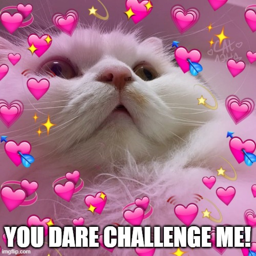 YOU DARE CHALLENGE ME! | image tagged in love cat | made w/ Imgflip meme maker