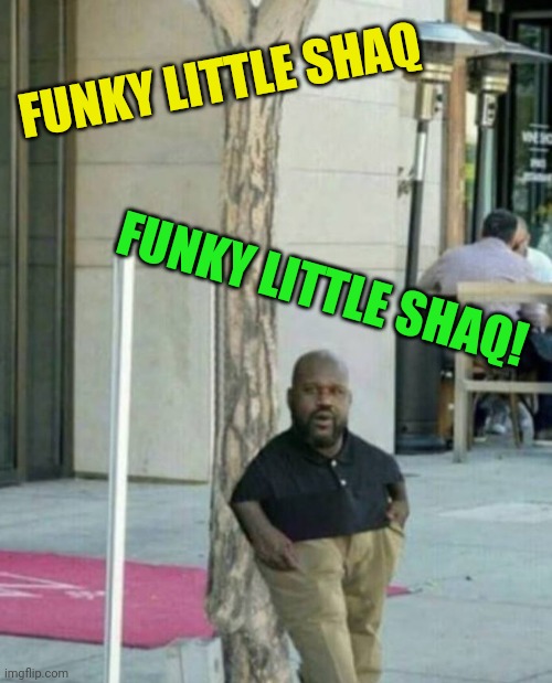 FUNKY LITTLE SHAQ FUNKY LITTLE SHAQ! | made w/ Imgflip meme maker