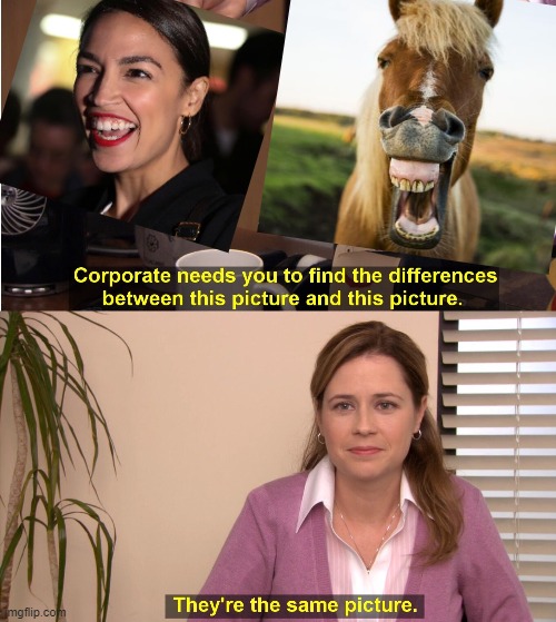 stunning and brave: aoc | image tagged in memes,they're the same picture,aoc,alexandria ocasio-cortez,horse,leftist | made w/ Imgflip meme maker