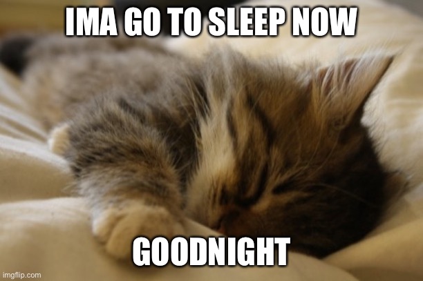 Goodnight | IMA GO TO SLEEP NOW; GOODNIGHT | image tagged in goodnight | made w/ Imgflip meme maker