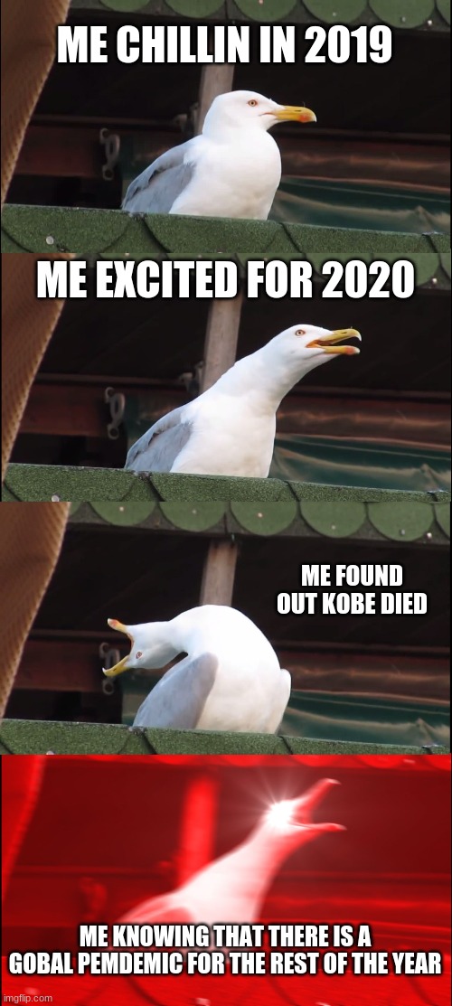 dang | ME CHILLIN IN 2019; ME EXCITED FOR 2020; ME FOUND OUT KOBE DIED; ME KNOWING THAT THERE IS A GOBAL PEMDEMIC FOR THE REST OF THE YEAR | image tagged in memes,inhaling seagull | made w/ Imgflip meme maker