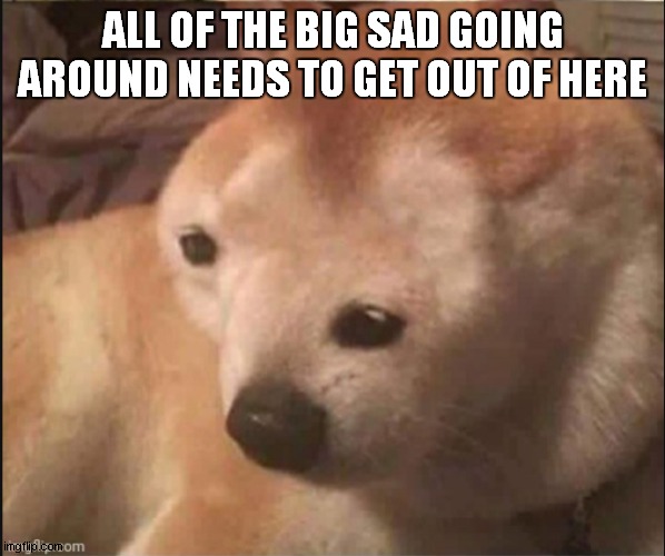 Confused noise | ALL OF THE BIG SAD GOING AROUND NEEDS TO GET OUT OF HERE | image tagged in confused noise | made w/ Imgflip meme maker