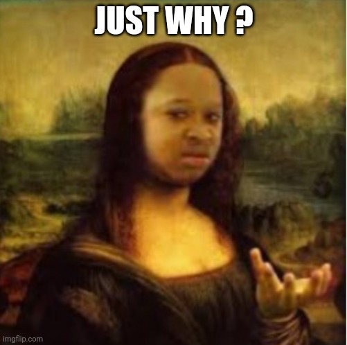Mona Lisa What | JUST WHY ? | image tagged in mona lisa what | made w/ Imgflip meme maker