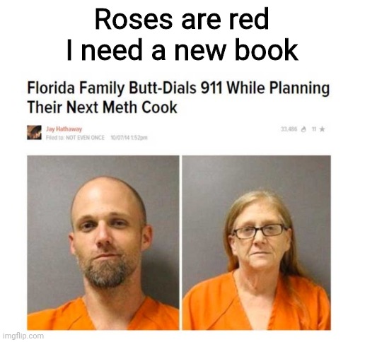 Yes | Roses are red
I need a new book | image tagged in blank white template | made w/ Imgflip meme maker