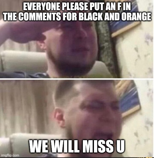 goodbye | EVERYONE PLEASE PUT AN F IN THE COMMENTS FOR BLACK AND ORANGE; WE WILL MISS U | image tagged in crying salute,f | made w/ Imgflip meme maker