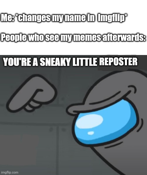 Hypothetically, this will happen | Me: *changes my name in  Imgflip*
 
People who see my memes afterwards:; REPOSTER | image tagged in you're a sneaky little impostor,imgflip,the daily struggle imgflip edition,meanwhile on imgflip,imgflippers | made w/ Imgflip meme maker