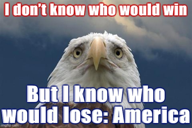 Quick, there’s a Civil War: Who would win? | I don’t know who would win; But I know who would lose: America | image tagged in sad american eagle | made w/ Imgflip meme maker
