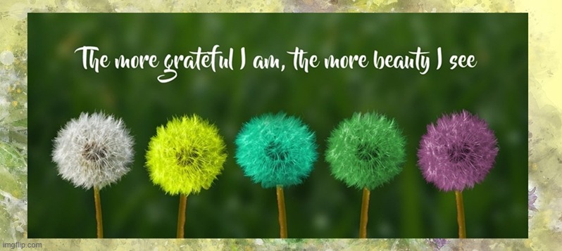 The more grateful I am the more beauty i see.jpg | image tagged in namaste | made w/ Imgflip meme maker