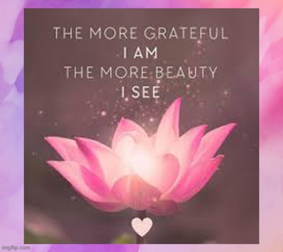 The more grateful I am the more beauty I see | image tagged in namaste | made w/ Imgflip meme maker