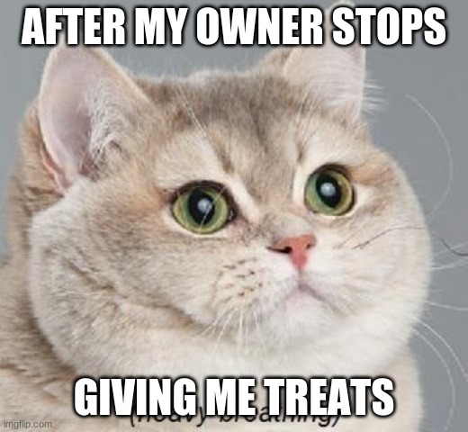 Heavy Breathing Cat | AFTER MY OWNER STOPS; GIVING ME TREATS | image tagged in memes,heavy breathing cat | made w/ Imgflip meme maker