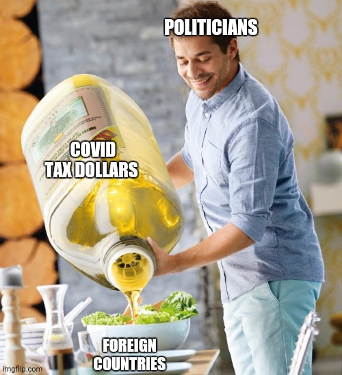 Salad Dressing | POLITICIANS; COVID TAX DOLLARS; FOREIGN COUNTRIES | image tagged in salad dressing | made w/ Imgflip meme maker